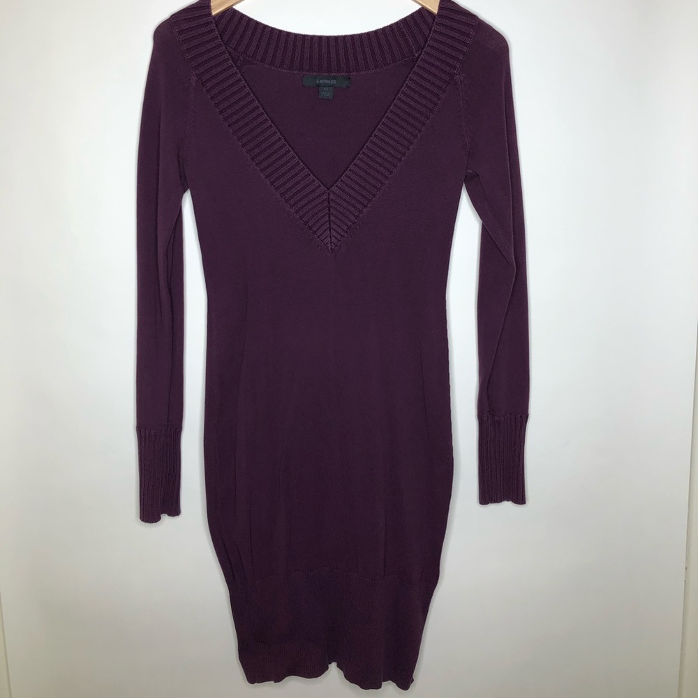 Express Long Sleeve Pencil Dress